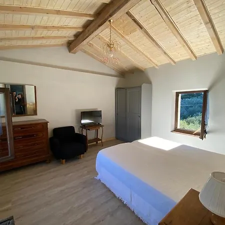 Olive Grove House *