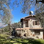 Olive Grove House *