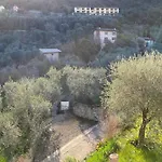 Olive Grove House