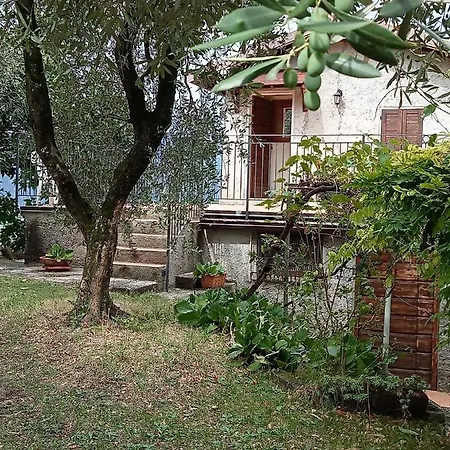 Olive Grove House * Malcesine