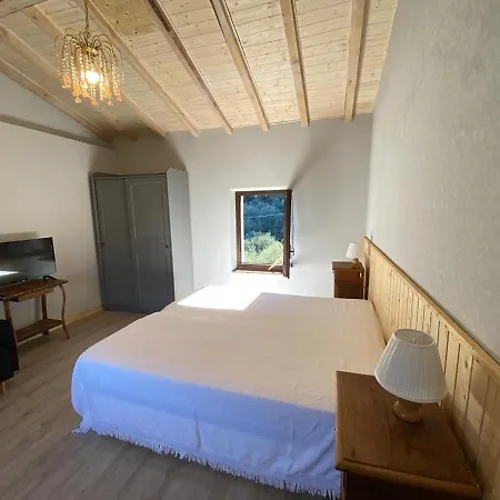 Olive Grove House مالتشيزينيه