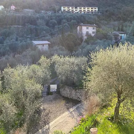 Olive Grove House