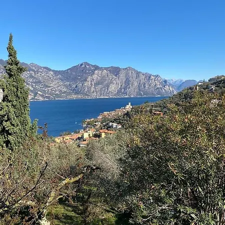 Olive Grove House Apartment Malcesine