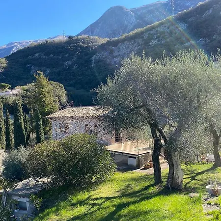Olive Grove House Lejlighed *